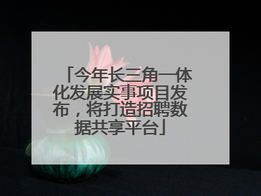 今年长三角一体化发展实事项目发布，将打造招聘数据共享平台