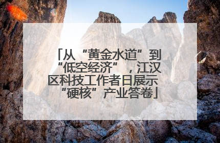 从“黄金水道”到“低空经济”，江汉区科技工作者日展示“硬核”产业答卷