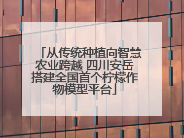 从传统种植向智慧农业跨越 四川安岳搭建全国首个柠檬作物模型平台