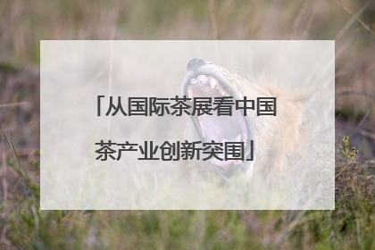 从国际茶展看中国茶产业创新突围