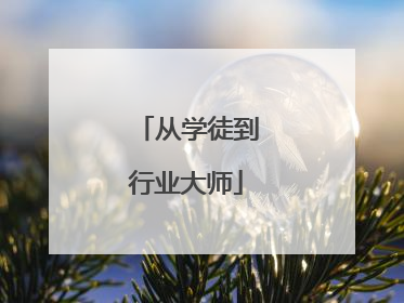 从学徒到行业大师