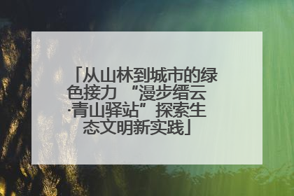 从山林到城市的绿色接力 “漫步缙云·青山驿站”探索生态文明新实践