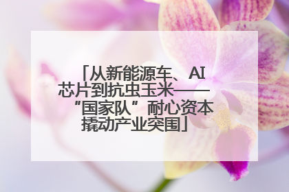 从新能源车、AI芯片到抗虫玉米——“国家队”耐心资本撬动产业突围
