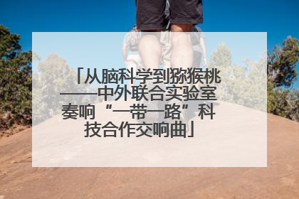从脑科学到猕猴桃——中外联合实验室奏响“一带一路”科技合作交响曲