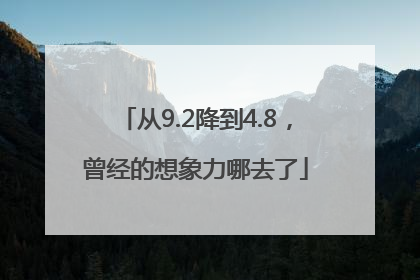 从9.2降到4.8，曾经的想象力哪去了