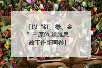 以“红、绿、金”三原色 绘就思政工作新画卷