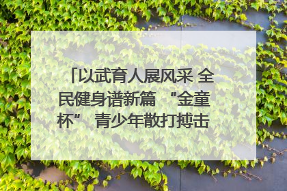 以武育人展风采 全民健身谱新篇 “金童杯” 青少年散打搏击邀请赛圆满落幕