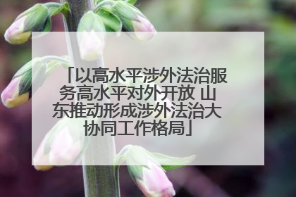 以高水平涉外法治服务高水平对外开放 山东推动形成涉外法治大协同工作格局