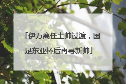 伊万离任土帅过渡，国足东亚杯后再寻新帅