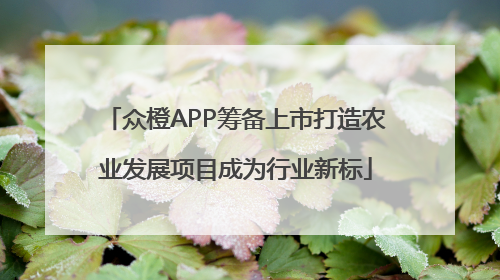 众橙APP筹备上市打造农业发展项目成为行业新标