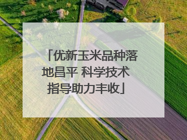 优新玉米品种落地昌平 科学技术指导助力丰收