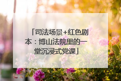 司法场景+红色剧本：博山法院里的一堂沉浸式党课
