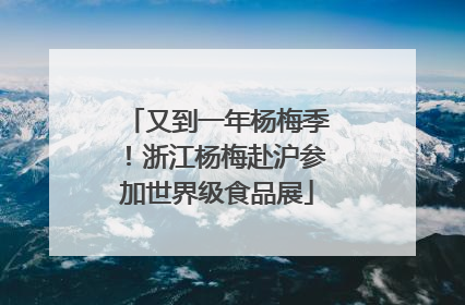 又到一年杨梅季！浙江杨梅赴沪参加世界级食品展