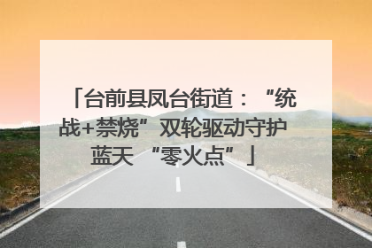 台前县凤台街道：“统战+禁烧”双轮驱动守护蓝天 “零火点”