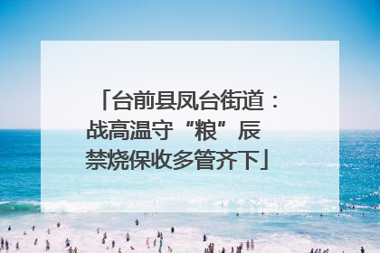 台前县凤台街道：战高温守“粮”辰 禁烧保收多管齐下