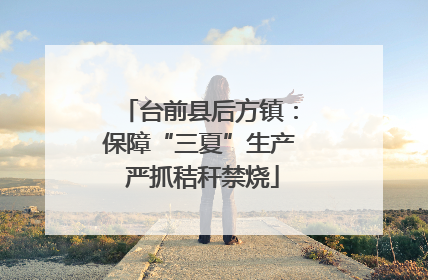 台前县后方镇：保障“三夏”生产 严抓秸秆禁烧