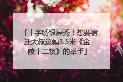 十字绣银屏秀！想要宿迁大叔这幅3.5米《金陵十二钗》的举手