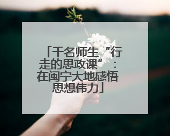 千名师生“行走的思政课”：在闽宁大地感悟思想伟力