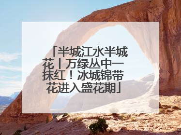 半城江水半城花丨万绿丛中一抹红!冰城锦带花进入盛花期