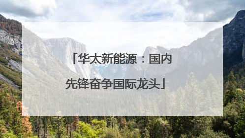 华太新能源：国内先锋奋争国际龙头