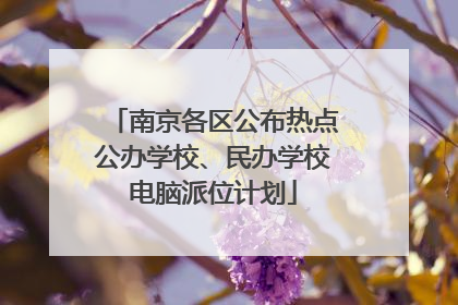 南京各区公布热点公办学校、民办学校电脑派位计划