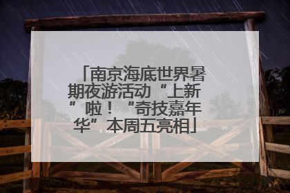 南京海底世界暑期夜游活动“上新”啦！“奇技嘉年华”本周五亮相