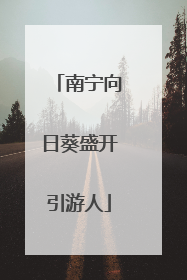 南宁向日葵盛开引游人