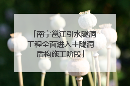 南宁邕江引水隧洞工程全面进入主隧洞盾构施工阶段
