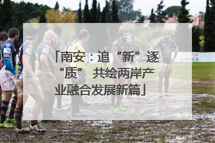 南安：追“新”逐“质” 共绘两岸产业融合发展新篇