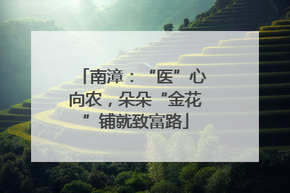 南漳：“医”心向农，朵朵“金花”铺就致富路