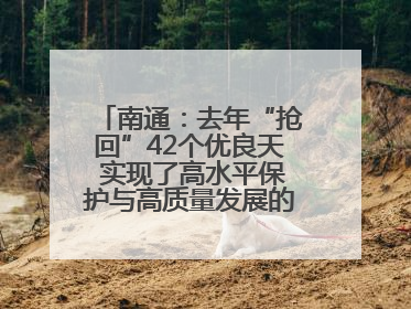 南通：去年“抢回”42个优良天 实现了高水平保护与高质量发展的协同并进
