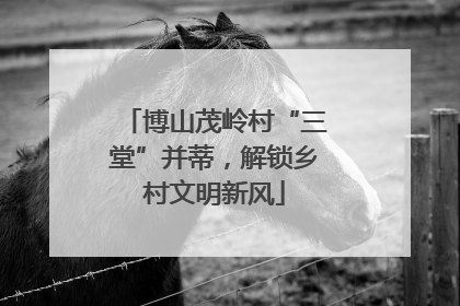 博山茂岭村“三堂”并蒂，解锁乡村文明新风