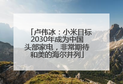 卢伟冰：小米目标2030年成为中国头部家电，非常期待和美的海尔并列