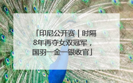 印尼公开赛｜时隔8年再夺女双冠军，国羽一金一银收官