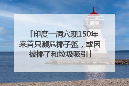 印度一洞穴现150年来首只濒危椰子蟹，或因被椰子和垃圾吸引