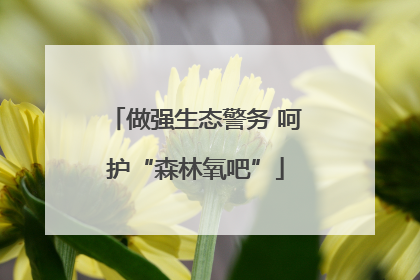 做强生态警务 呵护“森林氧吧”