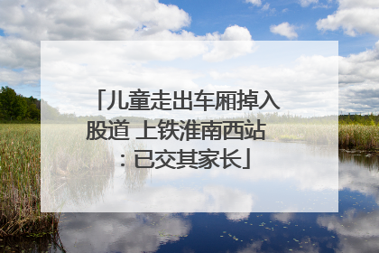 儿童走出车厢掉入股道 上铁淮南西站：已交其家长