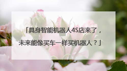 具身智能机器人4S店来了，未来能像买车一样买机器人？