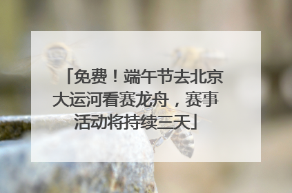 免费！端午节去北京大运河看赛龙舟，赛事活动将持续三天
