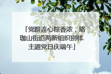 党群连心粽香浓，珞珈山街道两新组织别样主题党日庆端午