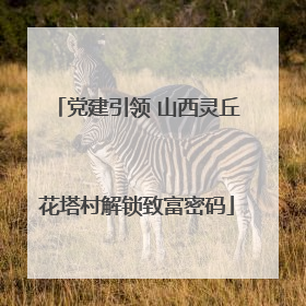 党建引领 山西灵丘花塔村解锁致富密码