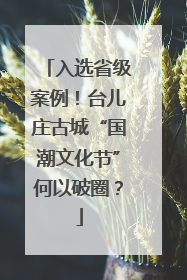 入选省级案例！台儿庄古城“国潮文化节”何以破圈？