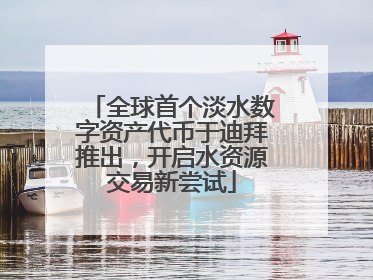 全球首个淡水数字资产代币于迪拜推出，开启水资源交易新尝试
