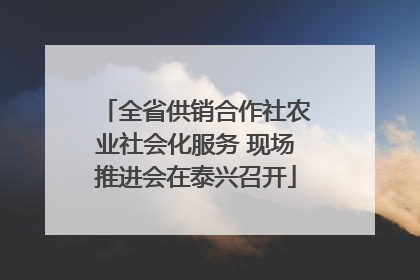 全省供销合作社农业社会化服务 现场推进会在泰兴召开
