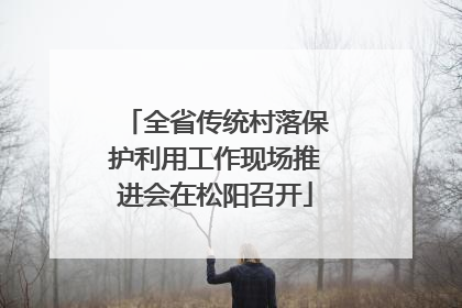 全省传统村落保护利用工作现场推进会在松阳召开