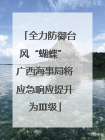 全力防御台风“蝴蝶” 广西海事局将应急响应提升为Ⅲ级