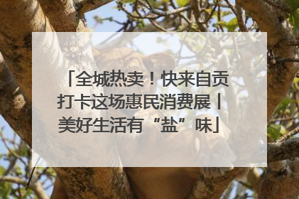 全城热卖！快来自贡打卡这场惠民消费展丨美好生活有“盐”味