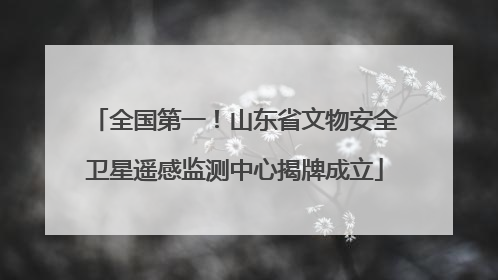 全国第一！山东省文物安全卫星遥感监测中心揭牌成立
