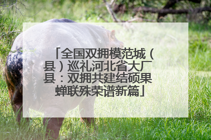 全国双拥模范城（县）巡礼河北省大厂县：双拥共建结硕果 蝉联殊荣谱新篇