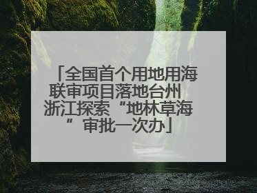 全国首个用地用海联审项目落地台州 浙江探索“地林草海”审批一次办